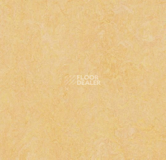 Линолеум Forbo Marmoleum Decibel on Order 384635 natural corn фото 1 | FLOORDEALER